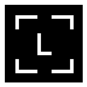 Ledger